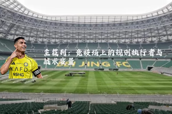 主裁判:竞技场上的规则执行者与战术变量
